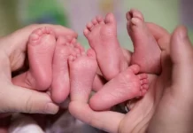 Nacieron trillizos en Concordia