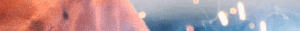 300x600(2)