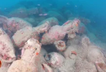 Descubrieron un barco romano muy cargado 46 metros bajo el mar