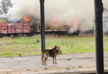 CONCORDIA: Un incendio afectó a tres vagones en la Estación Central